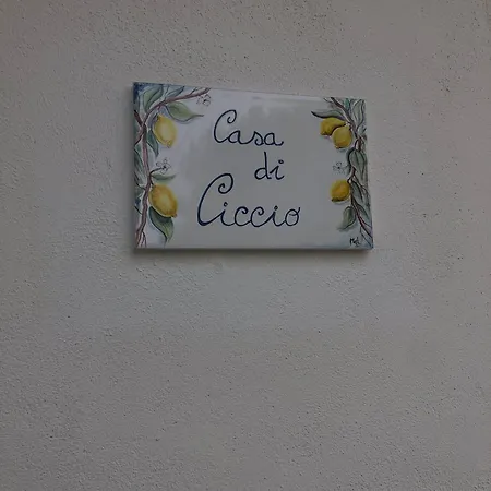 Giardino Degli Oleandri * Palinuro