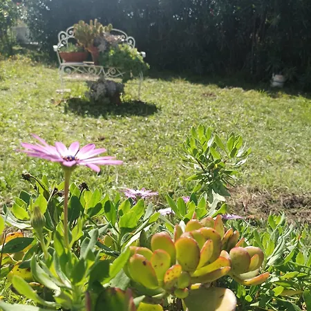 Giardino Degli Oleandri