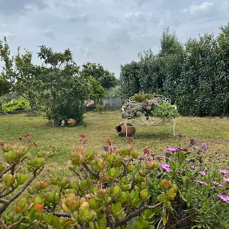 Giardino Degli Oleandri *